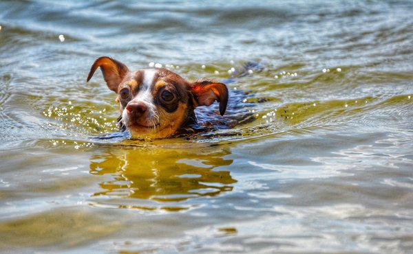 Travailler à l'étranger : par où commencer ?