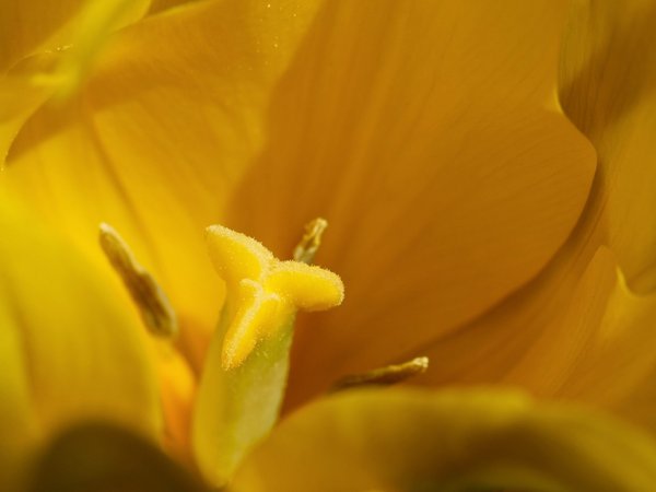 Cinéma et réalité augmentée : une expérience immersive