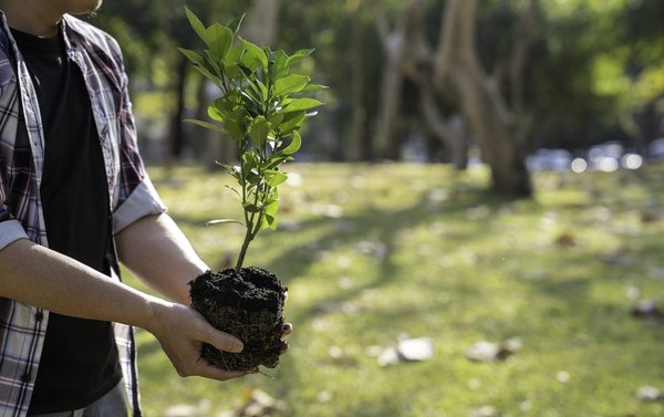 Comment organiser une fête de mariage écologique et respectueuse de l'environnement ?